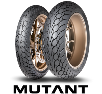 neumaticos-131901170-60x17-dunlop-mutant-72wmpluss