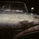 coches zombies