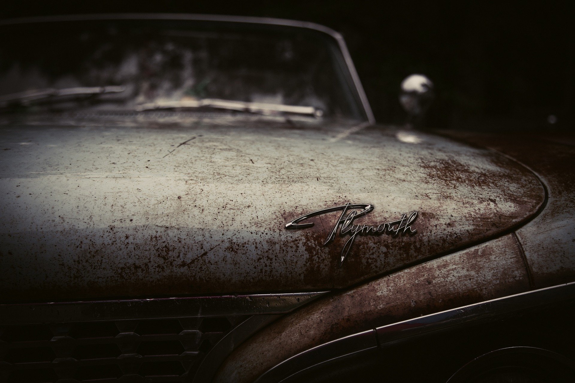 coches zombies