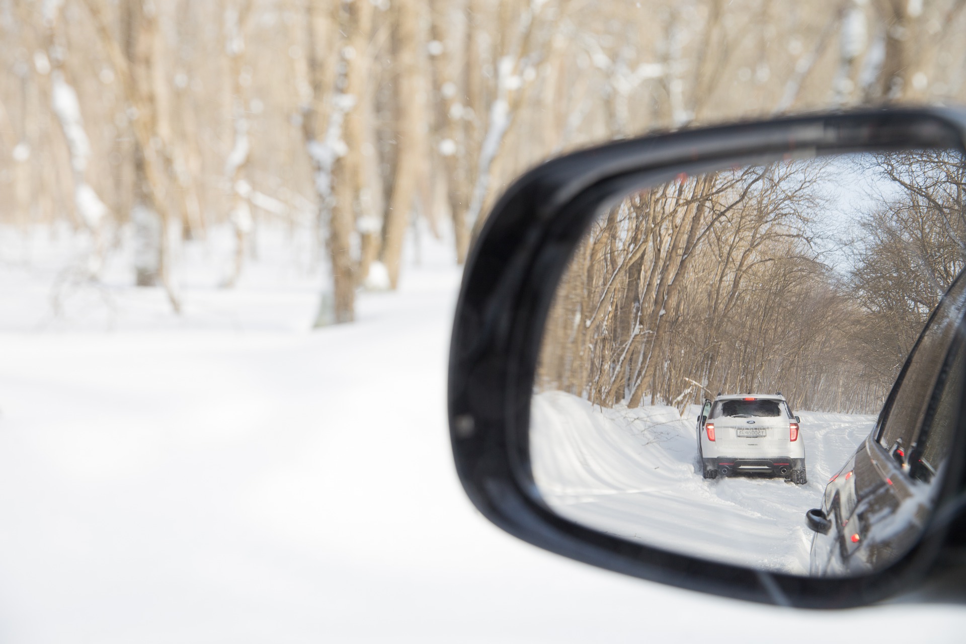 neumáticos de invierno o cadenas de nieve