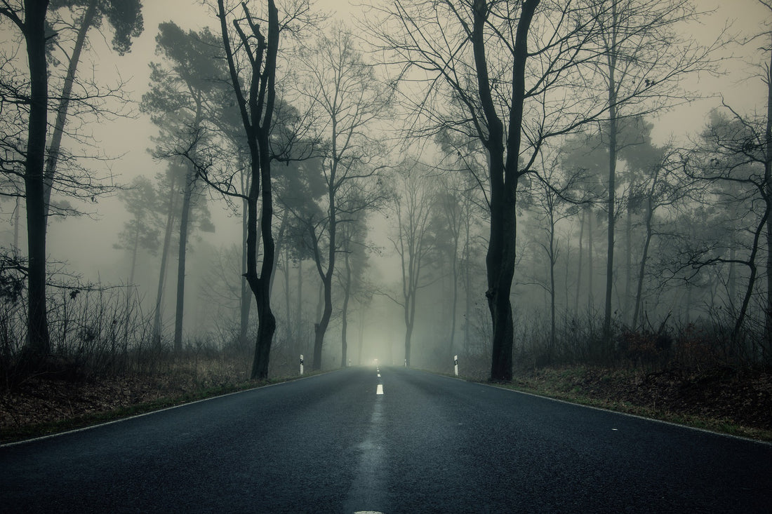 Consejos para conducir con niebla con mayor seguridad
