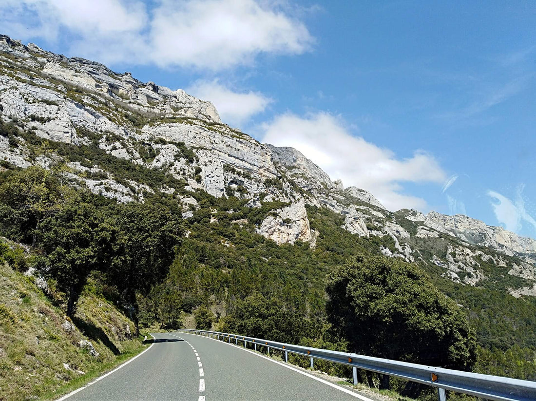 Ruta en coche por La Rioja Alavesa: mucho por descubrir
