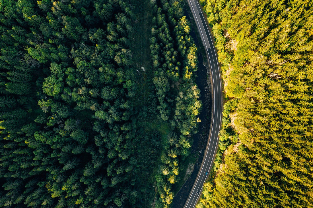 Ruta por Navarra en coche: 3 lugares que no te puedes perder