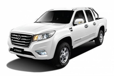 Great Wall (GWM) Steed 6